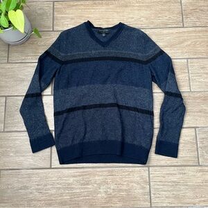 Banana Republic Mens Merino Wool Sweater Size M V-neck Stripe Navy Blue Pullover